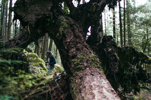 tree and forest floor covered in moss with woman walking through it