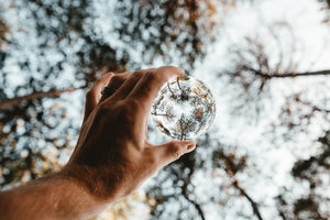 hand holding glass clear ball reflecting tree branches